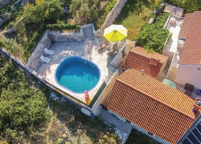 فيلة By Guide Oslje